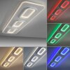 Paul Neuhaus Q-Serie Q-Kalina Plafoniera LED Bianco, 1-Luce, Telecomando