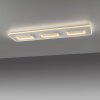 Paul Neuhaus Q-Serie Q-Kalina Plafoniera LED Bianco, 1-Luce, Telecomando
