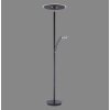 Illuminazione Paul Neuhaus Artur Lampada da terra LED Antracite, 2-Luci