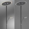 Illuminazione Paul Neuhaus Artur Lampada da terra LED Antracite, 2-Luci