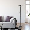 Illuminazione Paul Neuhaus Artur Lampada da terra LED Antracite, 2-Luci