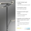 Illuminazione Paul Neuhaus Artur Lampada da terra LED Antracite, 2-Luci