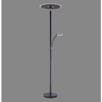 Illuminazione Paul Neuhaus Artur Lampada da terra LED Antracite, 2-Luci