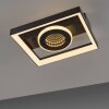 Illuminazione Paul Neuhaus Traforo Plafoniera LED Nero, 1-Luce, Telecomando