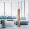 Paul Neuhaus Q-Serie Q-Akustik Lampada da terra LED Marrone, Nero, 1-Luce, Telecomando