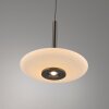 Illuminazione Paul Neuhaus Vitrum Lampada a sospensione LED Marrone, 2-Luci