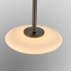 Illuminazione Paul Neuhaus Vitrum Lampada a sospensione LED Marrone, 2-Luci