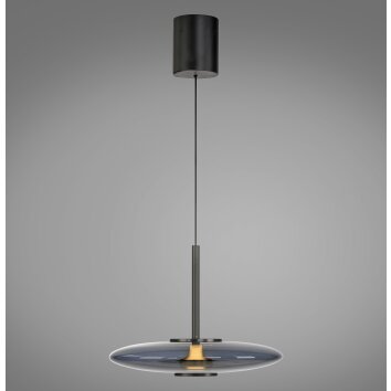 Illuminazione Paul Neuhaus E-Vitrum Lampada a sospensione LED Grigio, 2-Luci, Telecomando