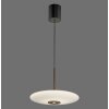 Illuminazione Paul Neuhaus E-Vitrum Lampada a sospensione LED Marrone, 2-Luci, Telecomando