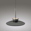 Illuminazione Paul Neuhaus Moon Lampada a sospensione LED Grigio, 2-Luci