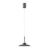 Illuminazione Paul Neuhaus Moon Lampada a sospensione LED Grigio, 2-Luci