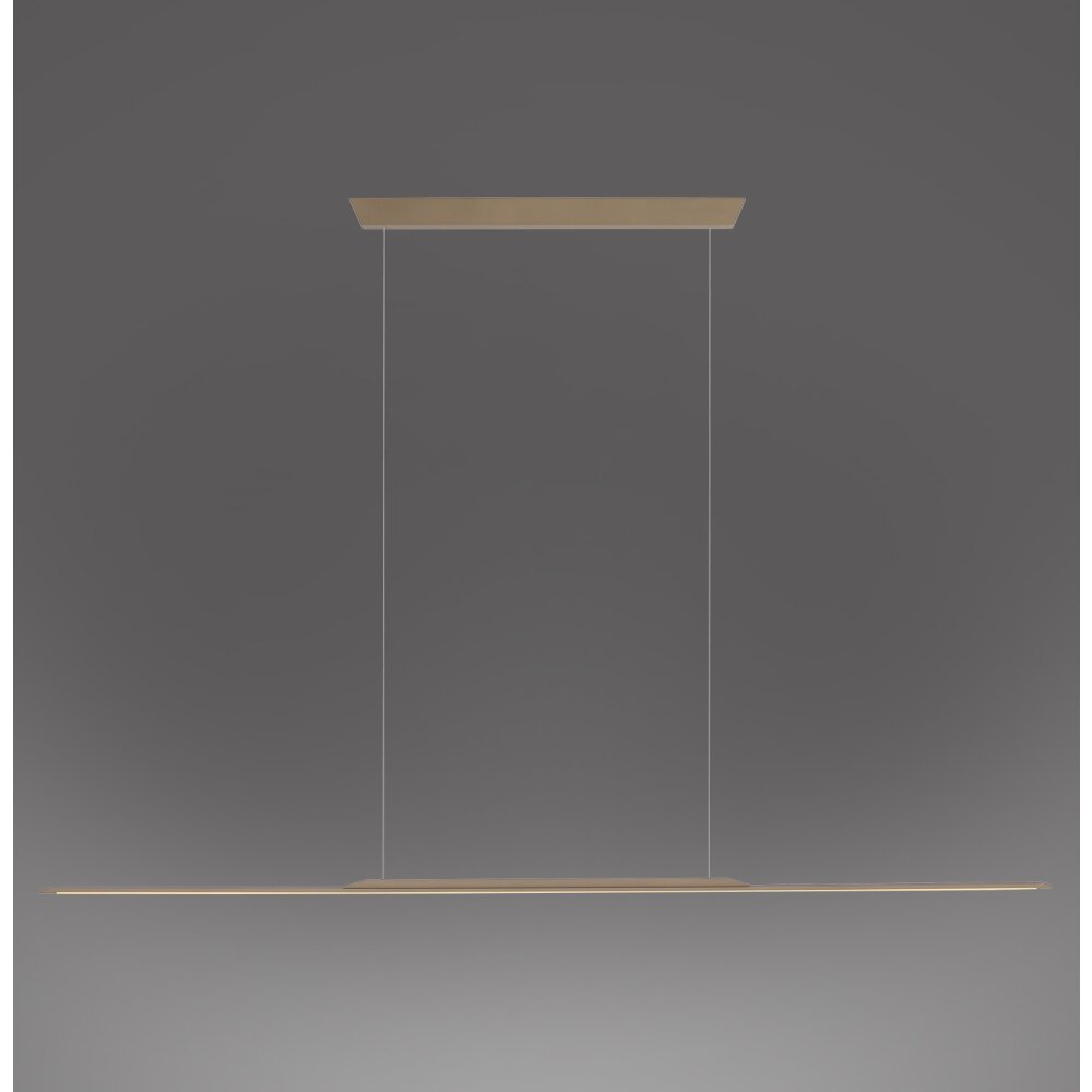 Illuminazione Paul Neuhaus Surface Lampada a sospensione LED Bronzo, 1-Luce main product photo
