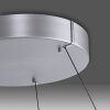 Illuminazione Paul Neuhaus E-Loop Lampada a sospensione LED Argento, 2-Luci, Telecomando