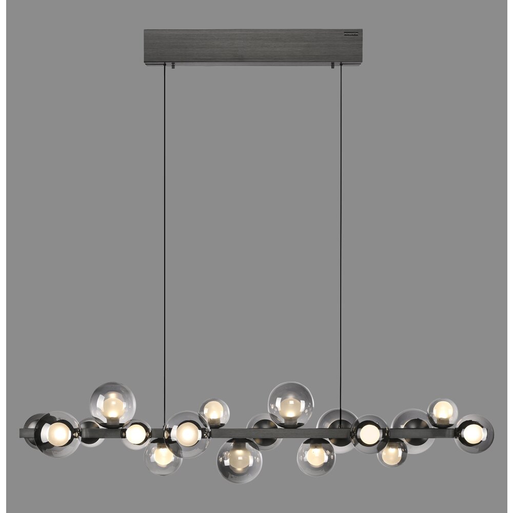 Illuminazione Paul Neuhaus E-Popup Lampada a sospensione LED Grigio, 18-Luci, Telecomando main product photo