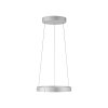 Illuminazione Paul Neuhaus E-Clipse Lampada a sospensione LED Argento, 2-Luci, Telecomando