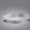Illuminazione Paul Neuhaus E-Clipse Lampada a sospensione LED Argento, 2-Luci, Telecomando
