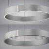 Illuminazione Paul Neuhaus E-Clipse Lampada a sospensione LED Argento, 2-Luci, Telecomando