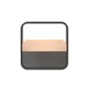 Illuminazione Paul Neuhaus Go Lampada da tavolo LED Grigio, 1-Luce