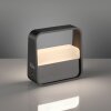 Illuminazione Paul Neuhaus Go Lampada da tavolo LED Grigio, 1-Luce
