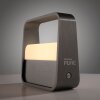 Illuminazione Paul Neuhaus Go Lampada da tavolo LED Grigio, 1-Luce