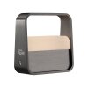 Illuminazione Paul Neuhaus Go Lampada da tavolo LED Grigio, 1-Luce