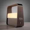 Illuminazione Paul Neuhaus Go Lampada da tavolo LED Marrone, 1-Luce