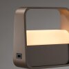 Illuminazione Paul Neuhaus Go Lampada da tavolo LED Bronzo, 1-Luce