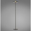 Illuminazione Paul Neuhaus Vitrum Lampada da terra LED Grigio, 2-Luci