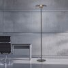 Illuminazione Paul Neuhaus Vitrum Lampada da terra LED Grigio, 2-Luci