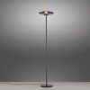 Illuminazione Paul Neuhaus Vitrum Lampada da terra LED Grigio, 2-Luci
