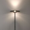 Illuminazione Paul Neuhaus Vitrum Lampada da terra LED Grigio, 2-Luci