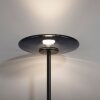 Illuminazione Paul Neuhaus Vitrum Lampada da terra LED Grigio, 2-Luci
