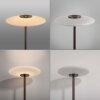 Illuminazione Paul Neuhaus Vitrum Lampada da terra LED Marrone, 2-Luci