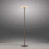 Illuminazione Paul Neuhaus Vitrum Lampada da terra LED Marrone, 2-Luci