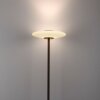 Illuminazione Paul Neuhaus Vitrum Lampada da terra LED Marrone, 2-Luci