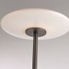 Illuminazione Paul Neuhaus Vitrum Lampada da terra LED Marrone, 2-Luci