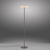 Illuminazione Paul Neuhaus Vitrum Lampada da terra LED Marrone, 2-Luci