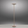 Illuminazione Paul Neuhaus Moon Lampada da terra LED Bronzo, 2-Luci
