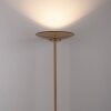 Illuminazione Paul Neuhaus Moon Lampada da terra LED Bronzo, 2-Luci