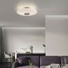 Illuminazione Paul Neuhaus Vitrum Plafoniera LED Marrone, 2-Luci