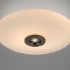 Illuminazione Paul Neuhaus Vitrum Plafoniera LED Marrone, 2-Luci