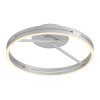 Illuminazione Paul Neuhaus Loop Plafoniera LED Argento, 2-Luci, Telecomando