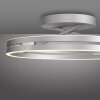 Illuminazione Paul Neuhaus Loop Plafoniera LED Argento, 2-Luci, Telecomando