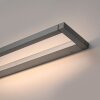 Illuminazione Paul Neuhaus Puro Applique LED Grigio, 1-Luce