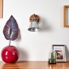 Berkeley Applique Marrone scuro, Zincato, 1-Luce