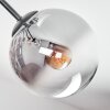 Gastor Plafoniera, Lampada a sfera Ambrato, Chiaro, Grigio fumo, 7-Luci