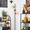 Koyoto Lampada da terra 31 cm Ambrato, Chiaro, 3-Luci