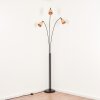 Lindberg Lampada da terra Nero, 3-Luci