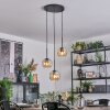Ripoll Lampadario a sospensione, Lampada a sfera, Lampada a sospensione a cluster Ambrato, 3-Luci