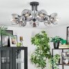 Ripoll Plafoniera, Lampada a sfera Chiaro, Grigio fumo, 7-Luci